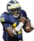 Profile picture for user MGoBlue@DC