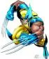 Profile picture for user Wolverine0007