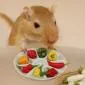 Profile picture for user Gerbil Peppers