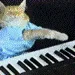 Profile picture for user Keyboard Cat