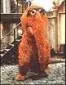 Profile picture for user Snuffleupagus