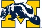 Profile picture for user show_me_state_wolverine