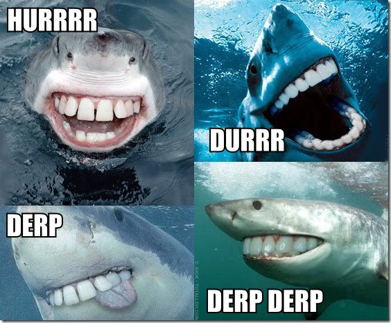 shark_derp_durr_hurr