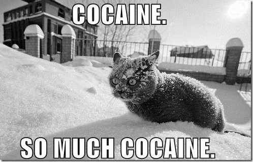 cat_cocaine