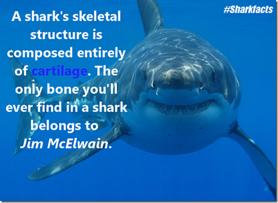 Sharkfacts3