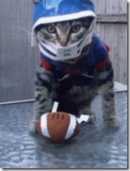 football-cat