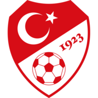 200px-Turkish_Football_Federation_logo[1]