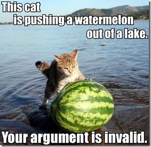 watermelon-cat