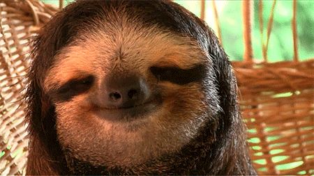 smiling sloth