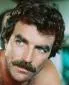 Profile picture for user TomSelleck'sMustache