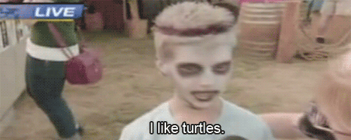 i like turtles.gif