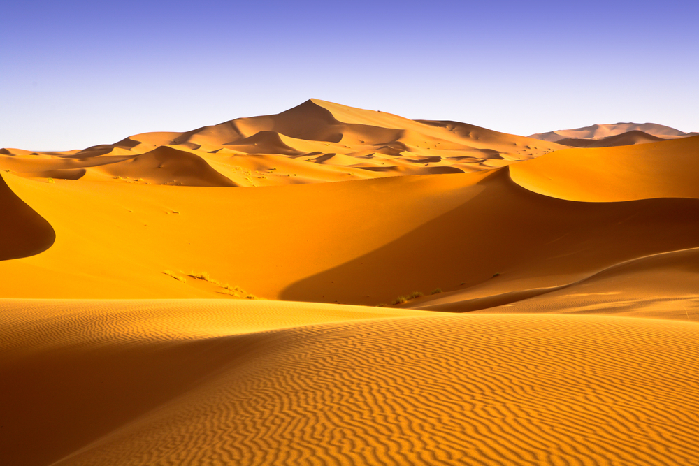 Sahara[1].jpg