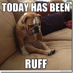 today-has-been-ruff-dog